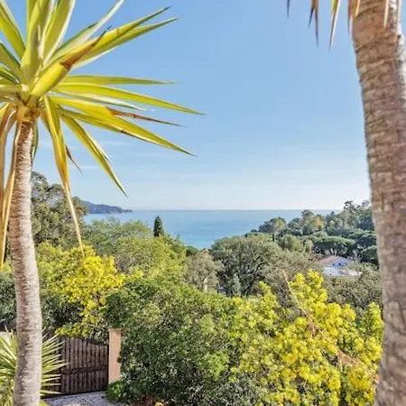 Piscine, Vue Cap Negre Villa Le Lavandou