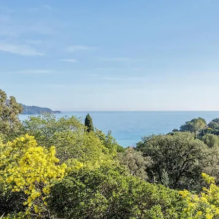 Piscine, Vue Cap Negre Villa *