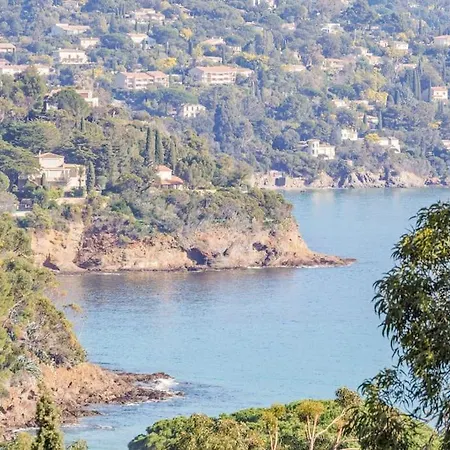 Piscine, Vue Cap Negre * Le Lavandou